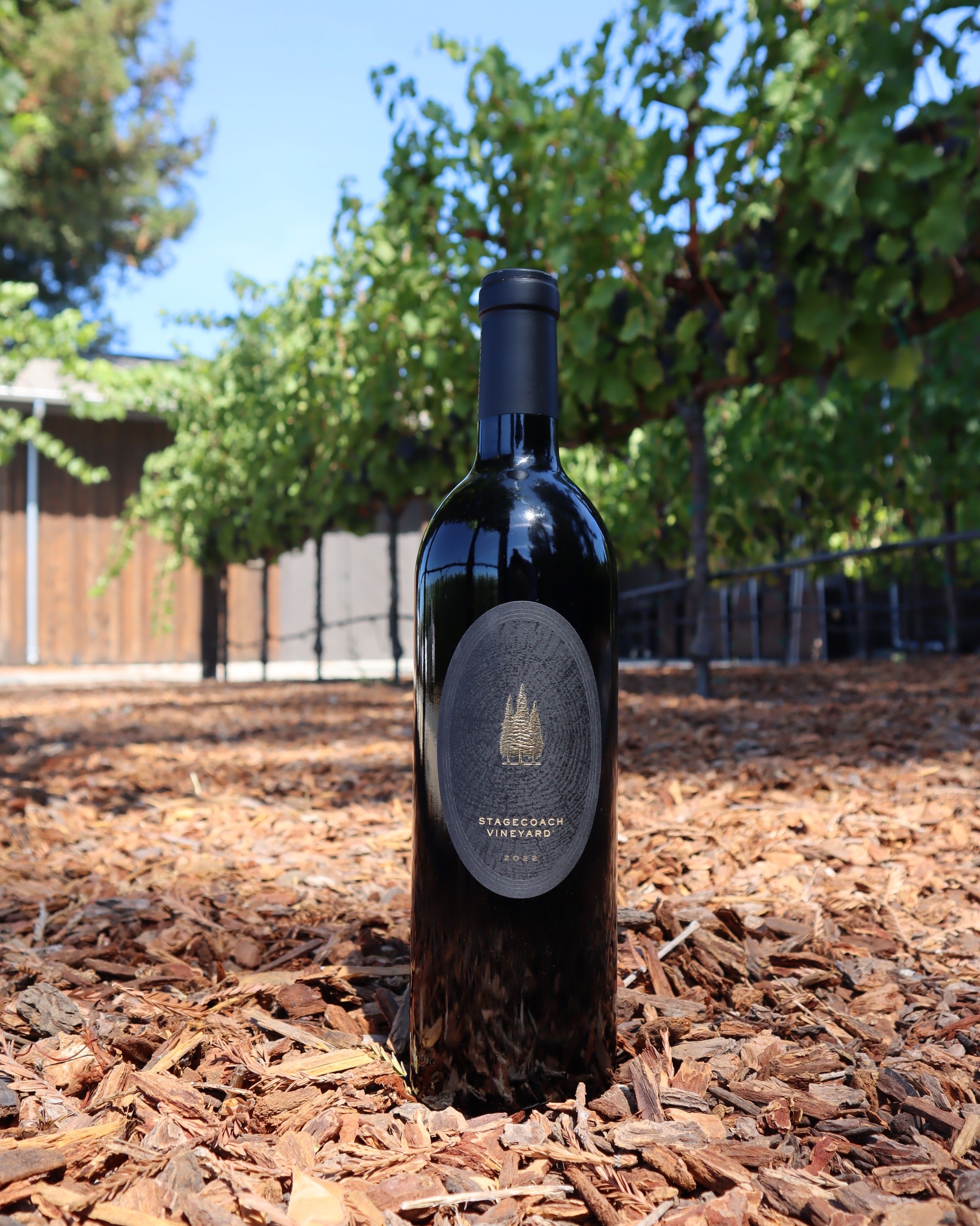 Stagecoach Cabernet Sauvignon label